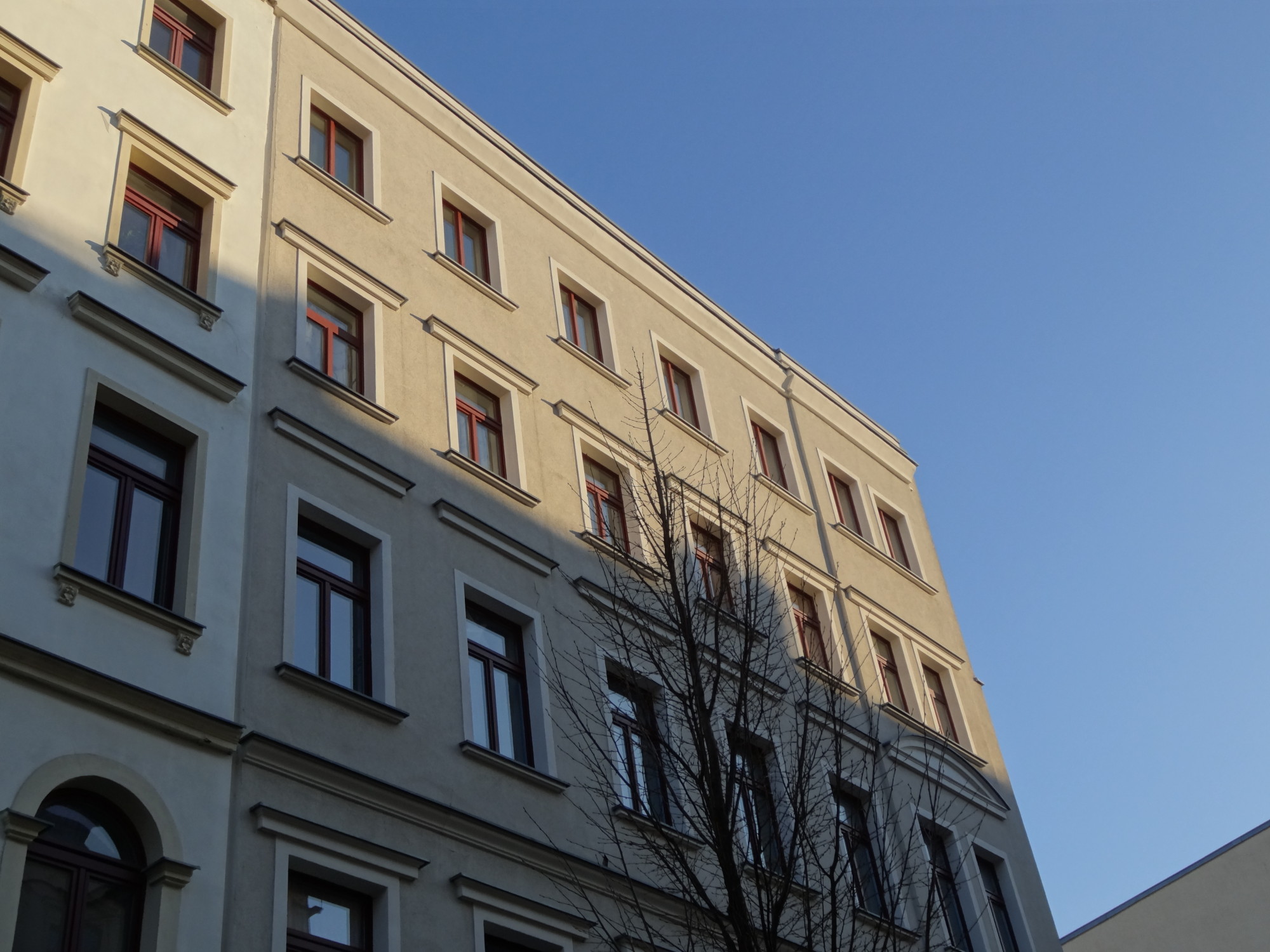 Rückseite